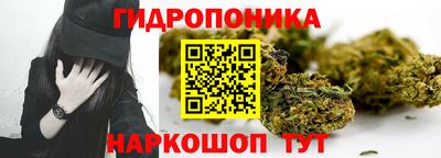 гидропоника Можайск