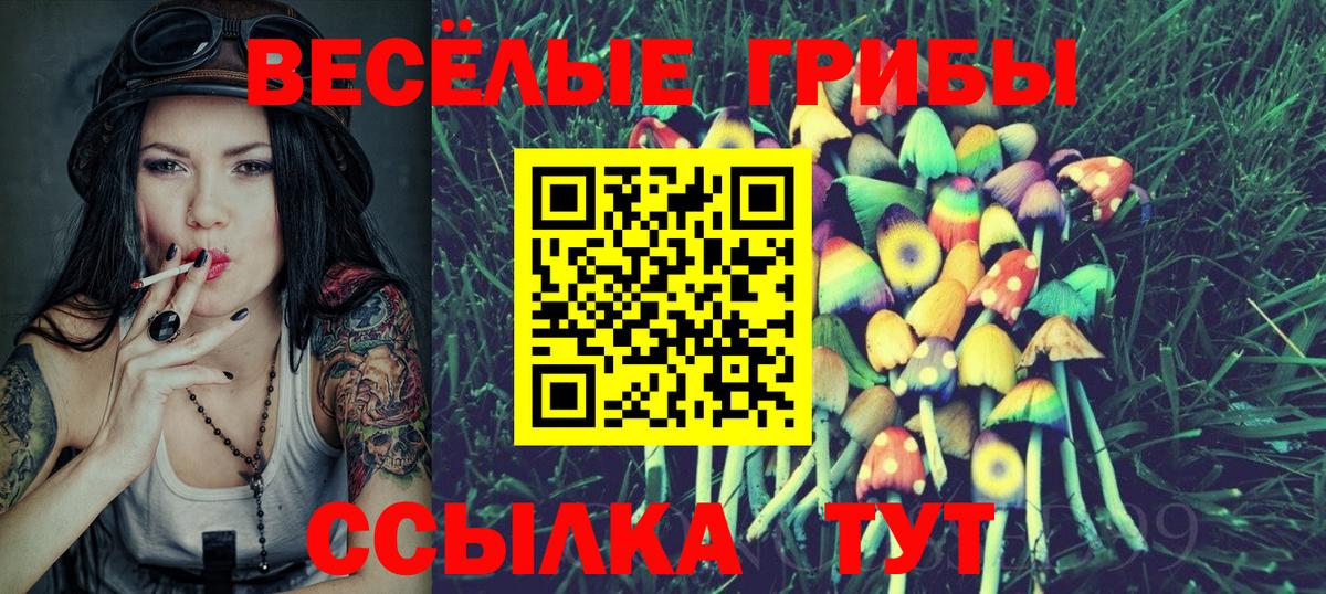 Советская Гавань  Галлюциногенные грибы прущие грибы  Галлюциногенные грибы Psilocybe  Вход с VPN 