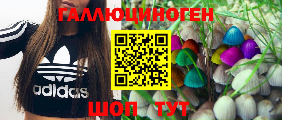 Псилоцибиновые грибы мицелий Советская Гавань
